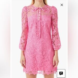 Endless Rose Lace 3/4 Long Sleeve Mini Dress Medium Pink